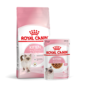 Корм для котят